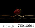 フルーツ 果物 ブルーベリー 76018601