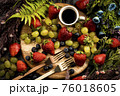 フルーツ 果物 ブドウ 76018605