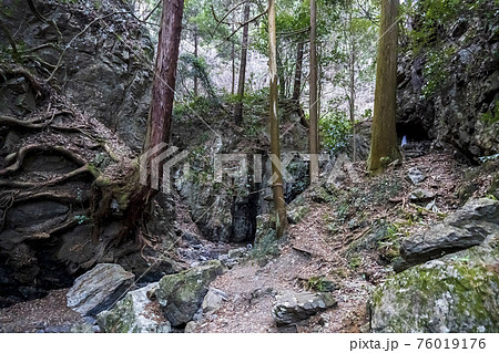 木の根が張る岩場の道（獅子ヶ滝）／県立黒山自然公園（埼玉県毛呂山町） 76019176