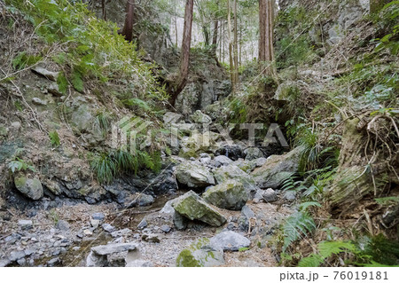 岩が転がる小さな沢（獅子ヶ滝）／県立黒山自然公園（埼玉県毛呂山町） 76019181