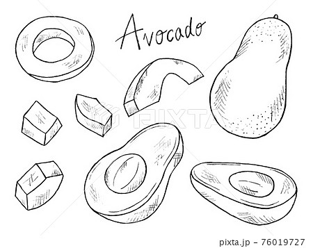 アボカドや食べ物の白黒手書きイラストイメージのイラスト素材