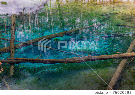 自然の宝石　神の子池　冬 76020592