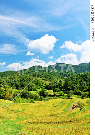 千葉県 秋の青空と大山千枚田 千葉県 秋の青空と大山千枚田 76020737