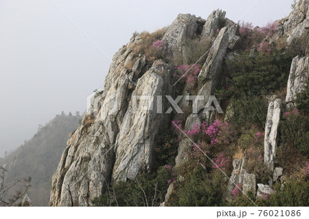 山 花 風景 76021086