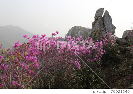 花 万 石 76021540