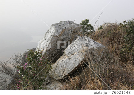 花 万 石 76021548