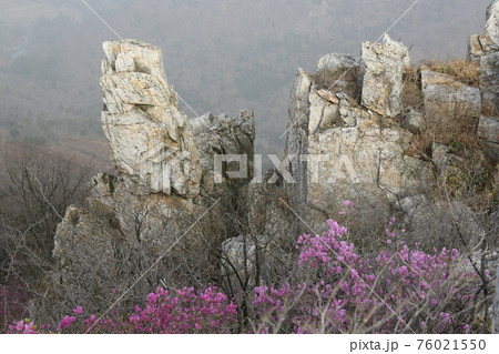 花 万 石 76021550