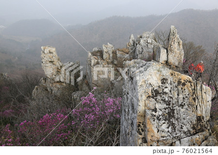 花 万 石 76021564