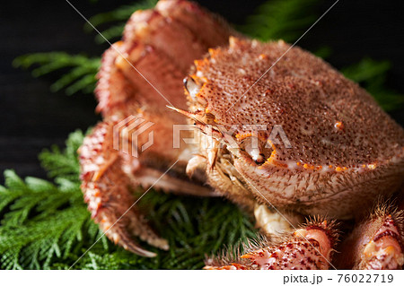活毛蟹 76022719