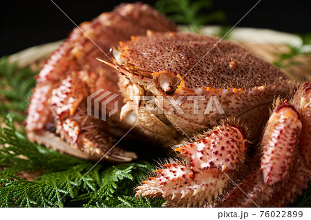 ザルの上の活毛蟹 ザルの上の活毛蟹 76022899