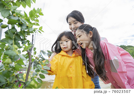 Portrait of happy cheerful family, young mother and two daughters 255 76023507