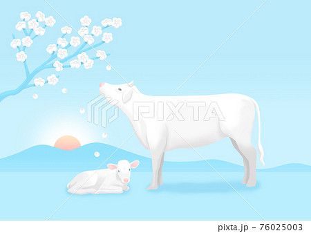 2021 year of the ox, New Year's card and calendar design illustration 002 76025003