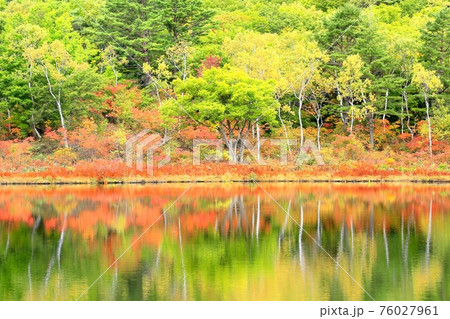 志賀高原・一沼の紅葉 志賀高原・一沼の紅葉 76027961