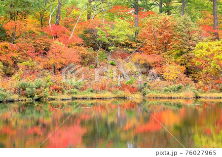 志賀高原・一沼の紅葉 志賀高原・一沼の紅葉 76027965