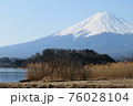 富士山~湖、ススキ、緑と共に~ 富士山~湖、ススキ、緑と共に~ 76028104