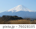 富士山~ススキ、緑と共に~ 富士山~ススキ、緑と共に~ 76028105