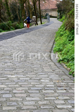 海外　犬の散歩の風景 76028490