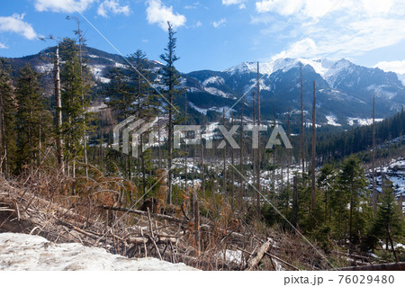 High Tatras mountains panorama with snow and forest 76029480