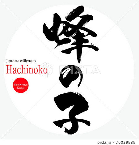 蜂の子 Hachinoko 筆文字 手書き 漢字 のイラスト素材