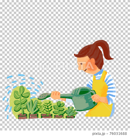 ジョウロで鉢植えに水をやる女性 76031688