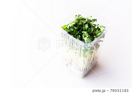 パックに入ったままの貝割れ大根 76032183