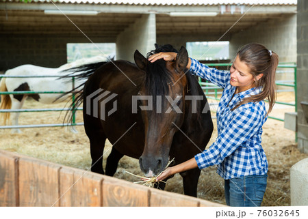 Female farmer feeding horse 76032645