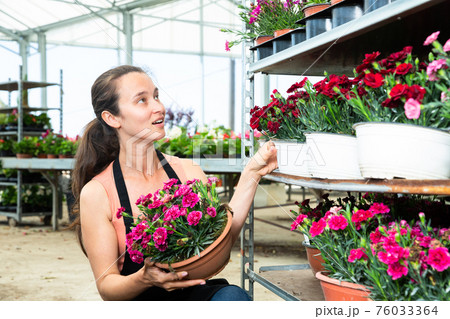 Woman glasshouse store worker holding garden flowers 76033364