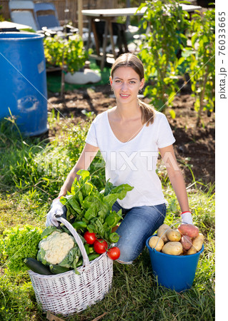 Girl farmer with basket and box of vegetables in the garden Girl farmer with basket and box of vegetables in the garden 76033665