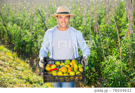 Positive male farmer carries box of tomatoes on the field Positive male farmer carries box of tomatoes on the field 76034632