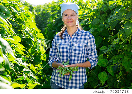 Female grower with ripe pods of green beans on vegetable garden 76034718