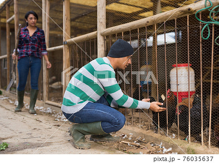 Smiling male proffesional farmer standing at chicken house 76035637