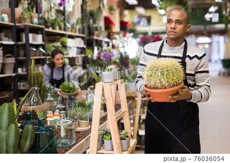 Positive man holding a potteds with cactuses in shop Positive man holding a potteds with cactuses in shop 76036054