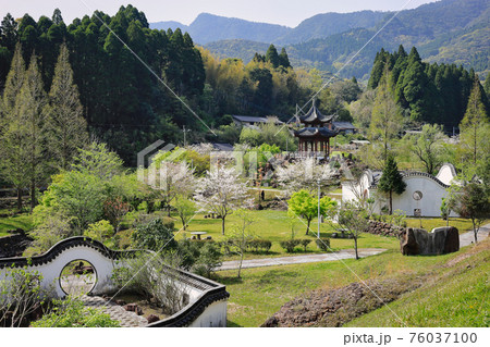 春の冠岳花川砂防公園 76037100