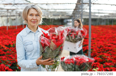 Happy woman with poinsettia in glasshouse 76037280