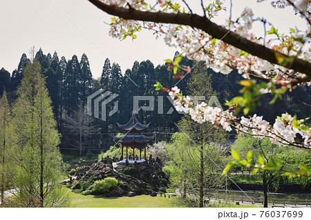 春の冠岳花川砂防公園 桜と望嶽亭 春の冠岳花川砂防公園 桜と望嶽亭 76037699