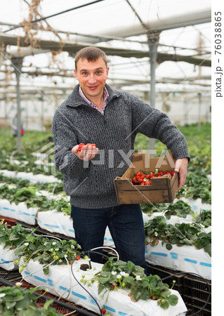 Happy male farmer with strawberries 76038865