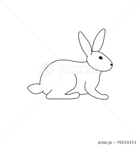 Vector illustration of a sitting rabbit. Black outline on a white background. Doodle style Vector illustration of a sitting rabbit. Black outline on a white background. Doodle style 76039353
