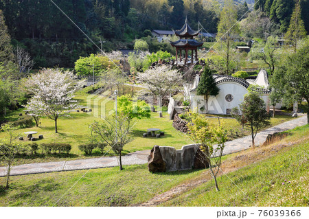 春の冠岳花川砂防公園 76039366