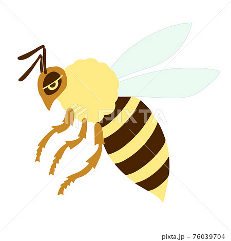 横から見た飛んでいるミツバチのイラスト素材