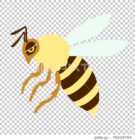横から見た飛んでいるミツバチのイラスト素材