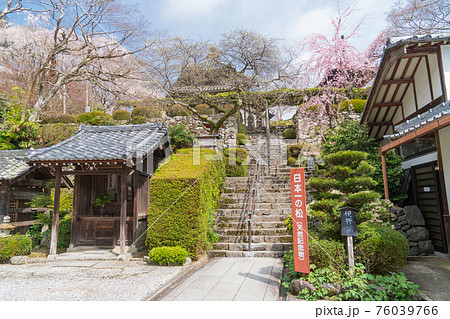 善峯寺の納礼所(京都市西京区) 善峯寺の納礼所(京都市西京区) 76039766