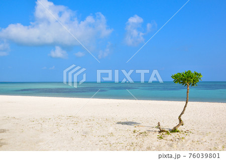 竹富島　コンドイ浜 76039801