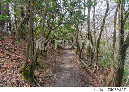 ポンポン山の登山道（善峯寺ルート） 76039807