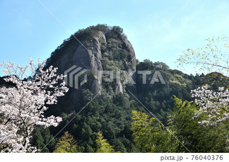 古座川の天柱岩と桜 古座川の天柱岩と桜 76040376