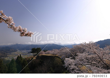 竹田城と満開の桜 76040653