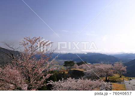 竹田城と満開の桜 竹田城と満開の桜 76040657