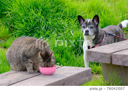 友達になりたい 76042007