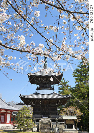 桜咲く高山寺　本堂(左)と多宝塔(右)　[和歌山県田辺市] 76042227