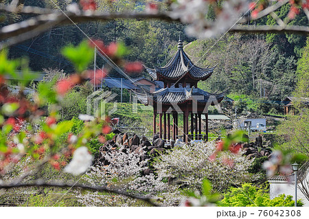 春の冠岳花川砂防公園　桜と望嶽亭 76042308