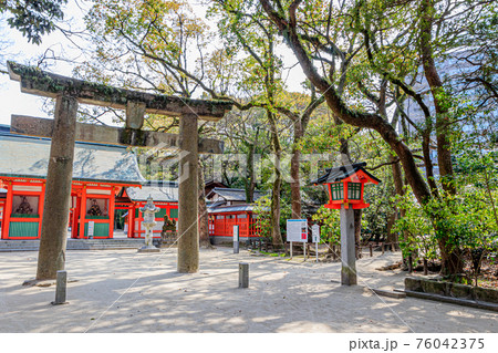春の筑前國一之宮 住吉神社 福岡県博多区 春の筑前國一之宮 住吉神社 福岡県博多区 76042375